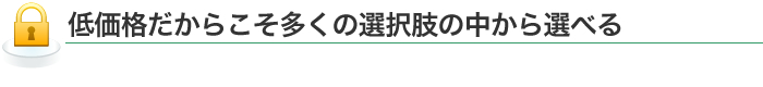 低価格だからこそ多くの選択肢の中から選べる