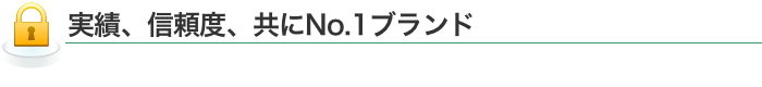 実績、信頼度、共にNo.1ブランド